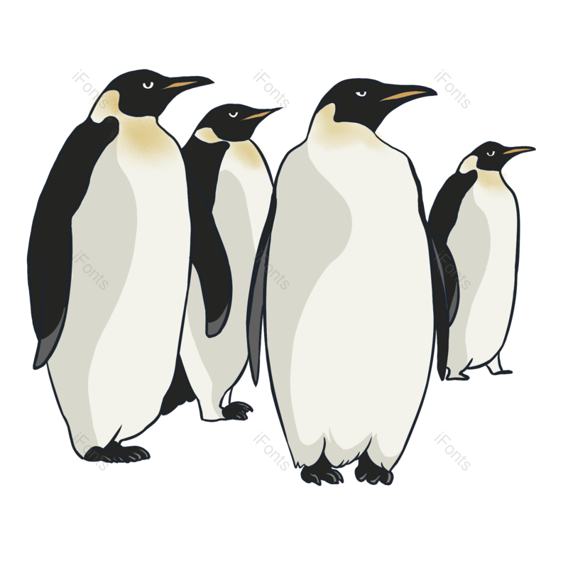 企鹅图片,动物元素,矢量PNG,免抠素材
